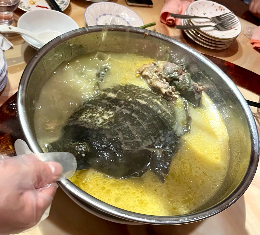 料理３.png