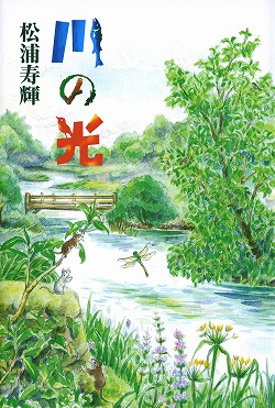 川の光