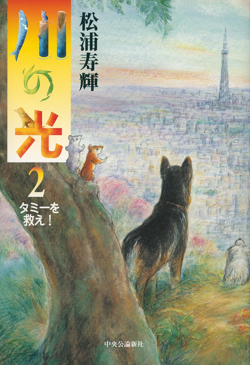 川の光２