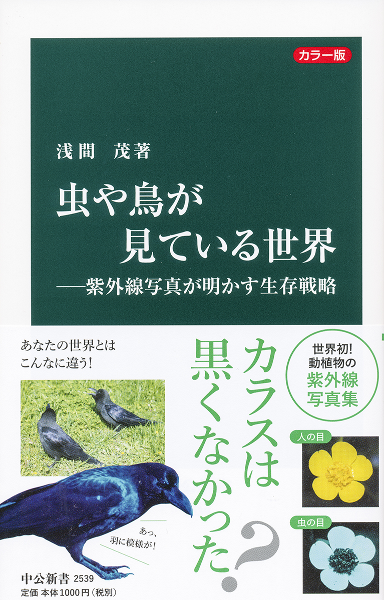 カラー版 虫や鳥が見ている世界―紫外線写真が明かす生存戦略