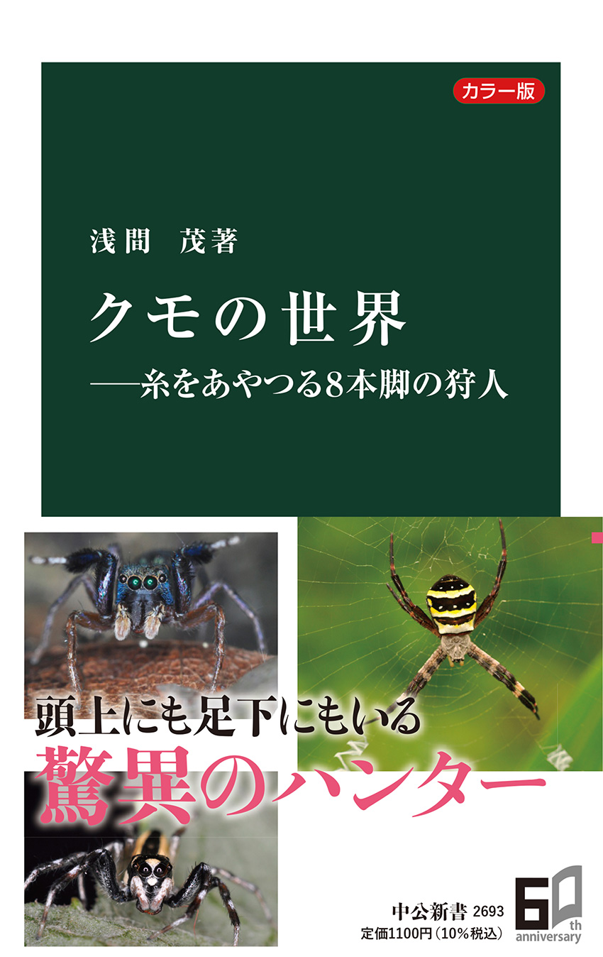 クモの世界 糸をあやつる８本脚の狩人 浅間茂 著 新書 中央公論新社