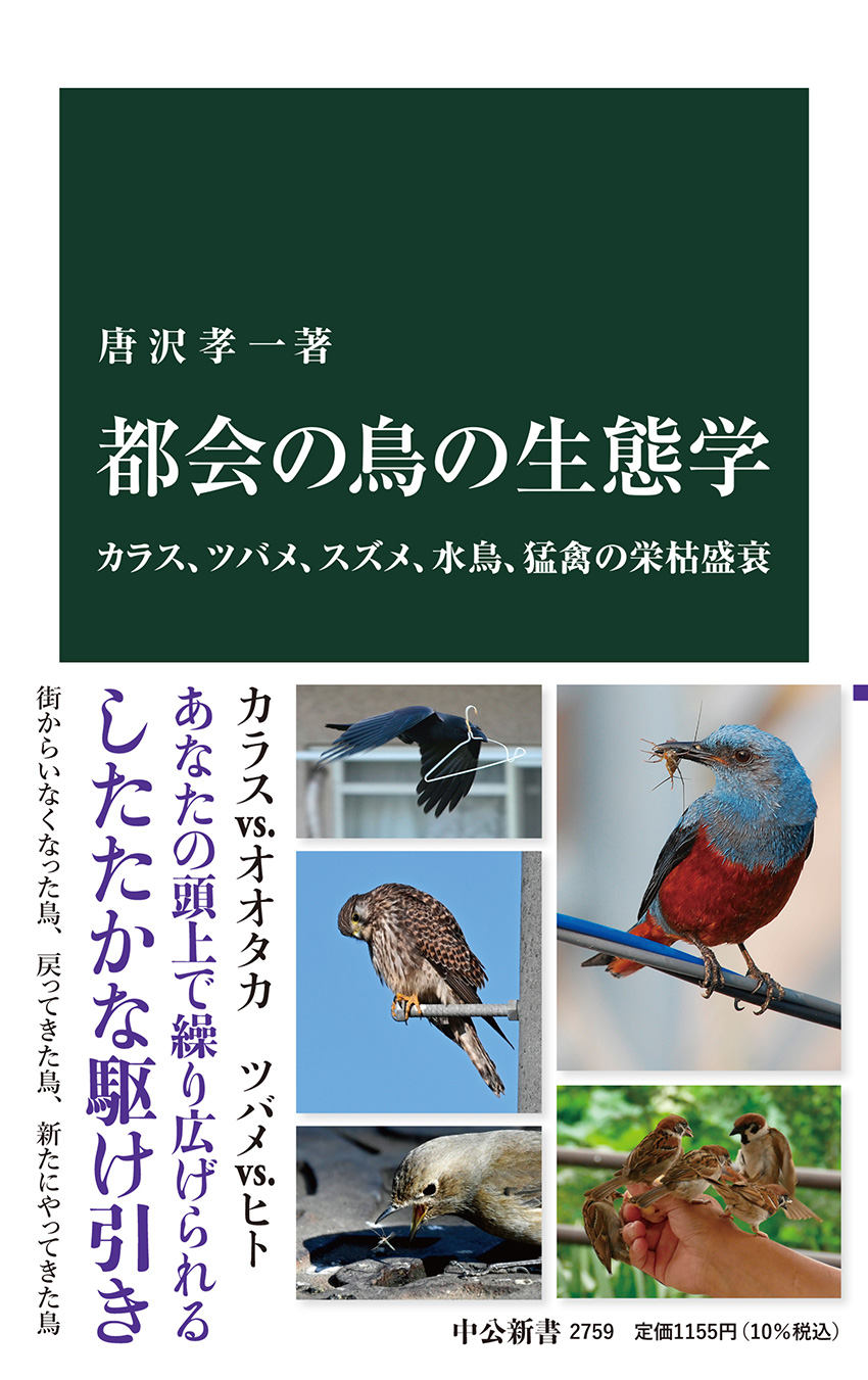 都会の鳥の生態学