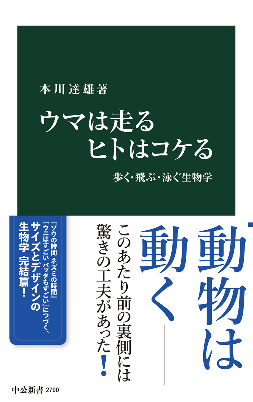 ウマは走る ヒトはコケる