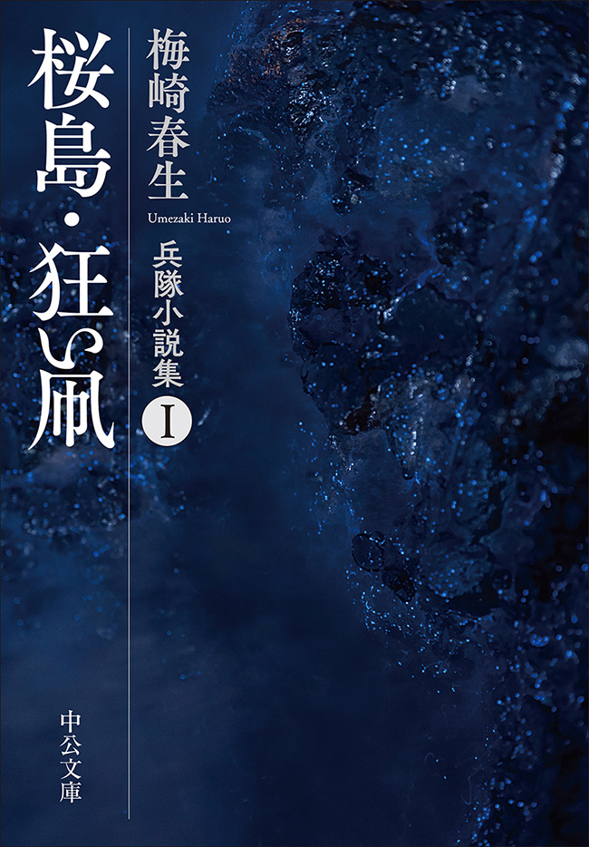 桜島・狂い凧