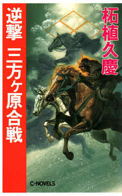 逆撃　三方ヶ原合戦