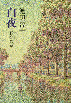 Amazon.co.jp: 白夜 朝霧の章 (Chuko On Demand Books) : 渡辺 淳一: 本
