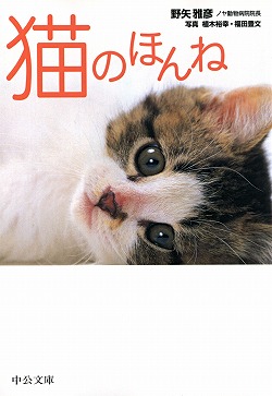 猫のほんね