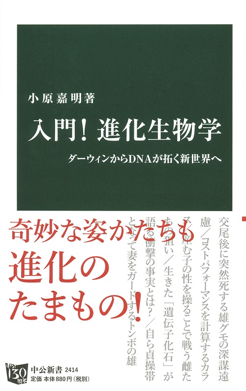 入門！ 進化生物学