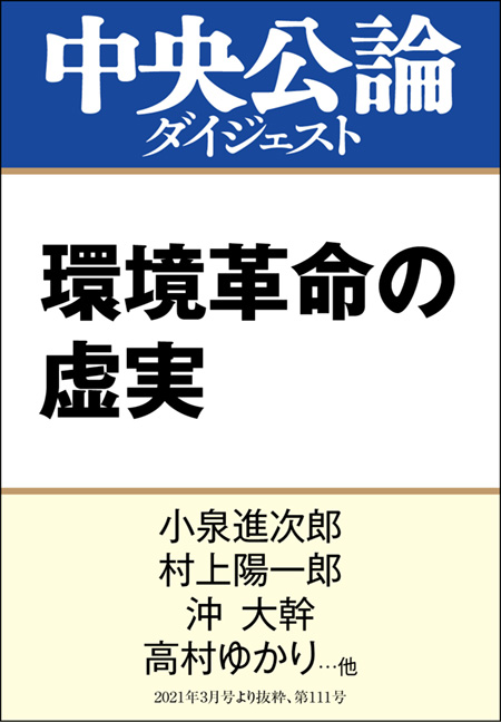 中公DD　環境革命の虚実