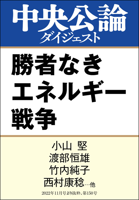 中公DD　勝者なきエネルギー戦争
