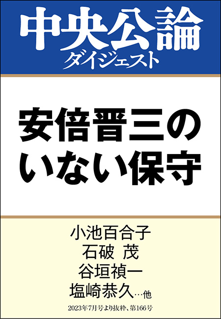 中公DD　安倍晋三のいない保守