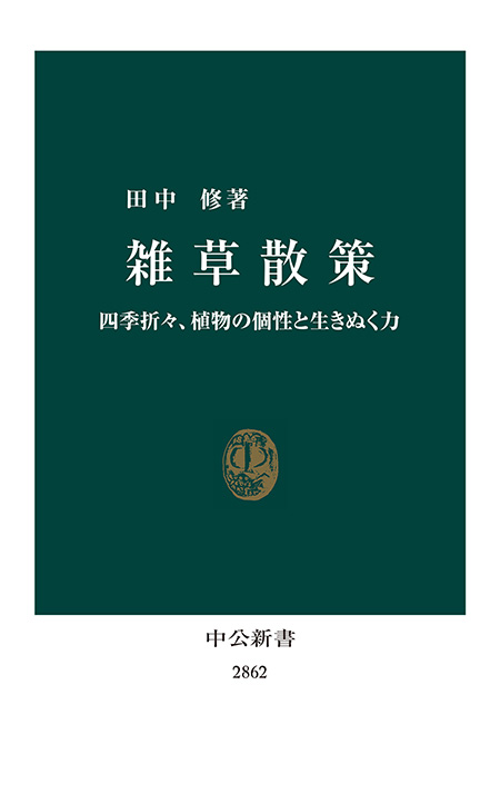 雑草散策