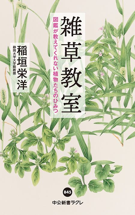 雑草教室