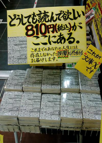 「文庫Ｘ」展開写真2.jpg