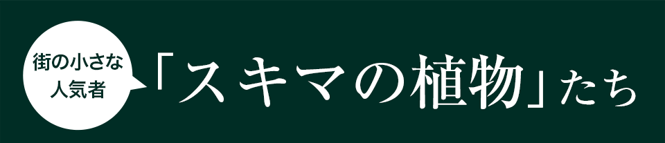 「スキマの植物」たち