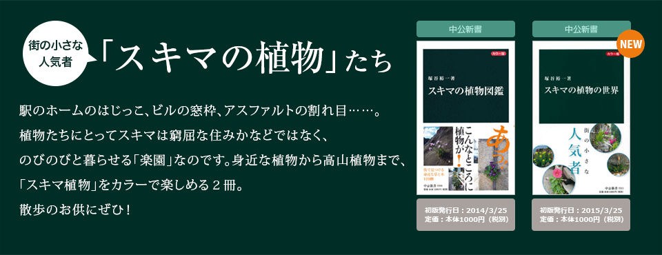 「スキマの植物」写真コンテスト優秀作発表