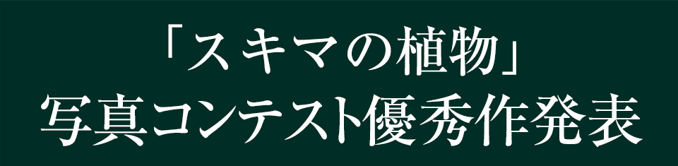 「スキマの植物」写真コンテスト優秀作発表